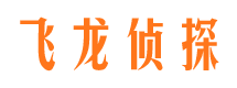 永定市调查公司